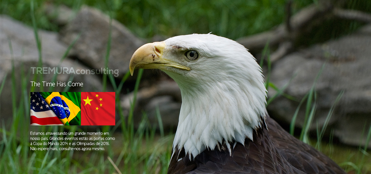 Tremura Consulting international business