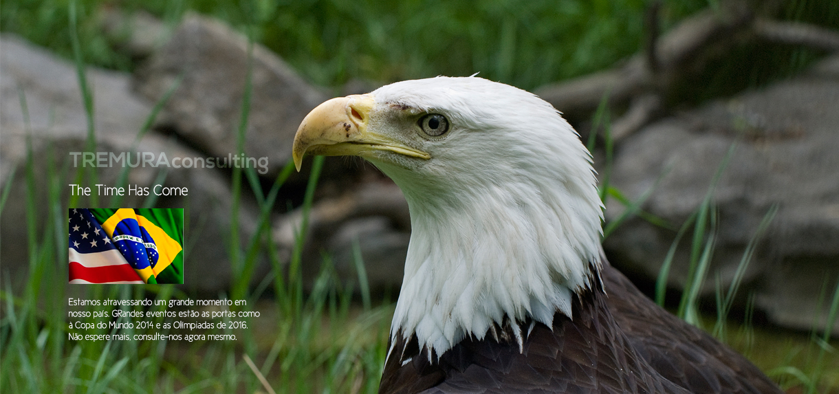 Tremura Consulting banner with the United States, Brazil, and China flags and a bald eagle